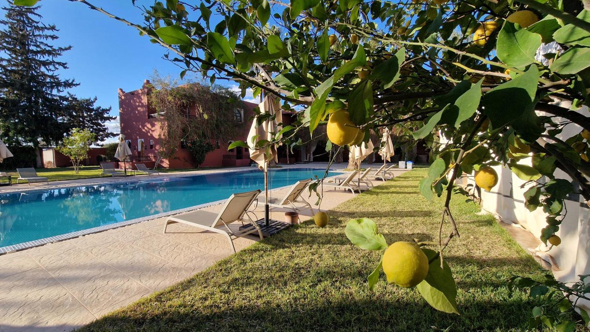 Palace Africa - Marrakech Palmeraie Dar Ilham โดอาร์ บลิเดเน ภายนอก รูปภาพ